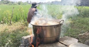 Lebaran Idul Fitri Makin Meriah! Tradisi Ketupat Bangsa Indonesia Jadi Simbol Persatuan, Hangatkan Kebersamaan dari Kampung hingga Kota