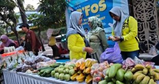 B’FOS Bojonegoro Jadi Jembatan Petani dan Konsumen, Inovasi Pemasaran di CFD