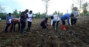 Sambut PENAS 2026, Gorontalo Tanam Jagung di Jalur GORR Perkuat Identitas Lumbung Nasional