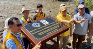Tanam 20 Ribu Mangrove, Kubu Raya Perkuat Pesisir dari Abrasi dan Jaga Lingkungan